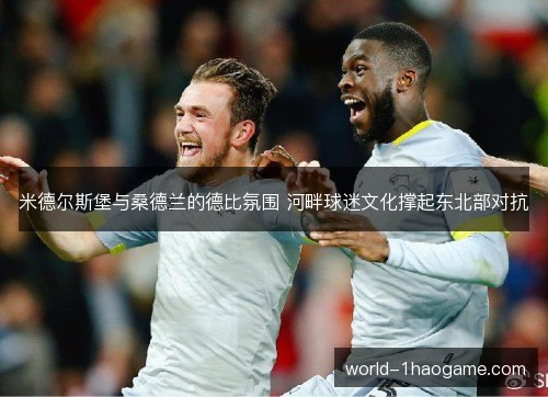米德尔斯堡与桑德兰的德比氛围 河畔球迷文化撑起东北部对抗